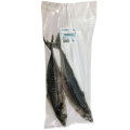 Mackerel (Skumria) 2 pieces package Ocean