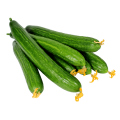Fresh Cucumbers 1kg