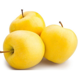 Large Golden Yellow Apples 1kg