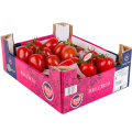Red Plum Vine Tomatoes Ruby Red 5kg Box BelOrta
