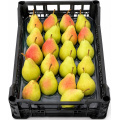 Fresh Pears – Box Approx 4kg Price per Box