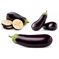 Fresh Aubergine price per KG